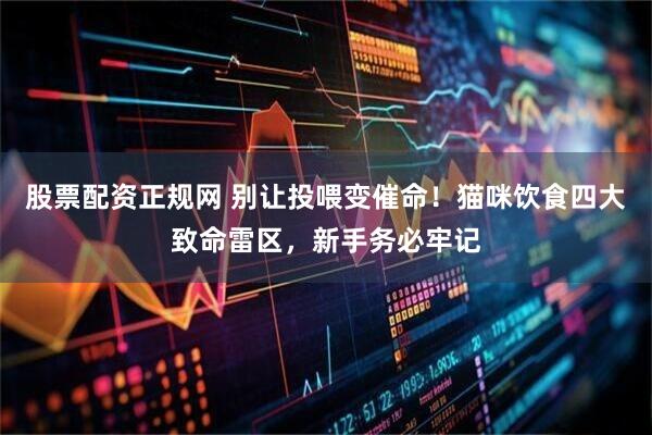 股票配资正规网 别让投喂变催命！猫咪饮食四大致命雷区，新手务必牢记