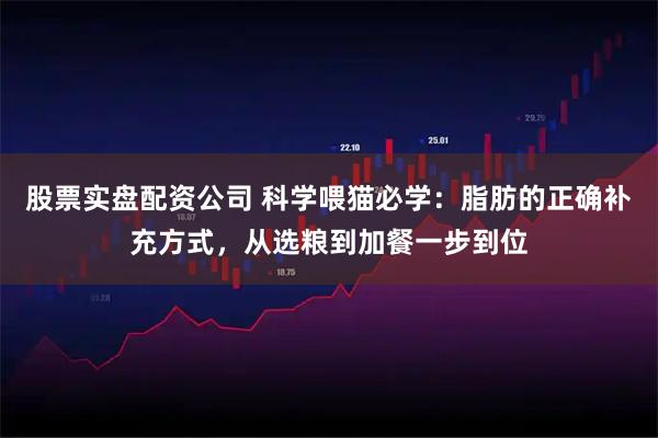 股票实盘配资公司 科学喂猫必学：脂肪的正确补充方式，从选粮到加餐一步到位